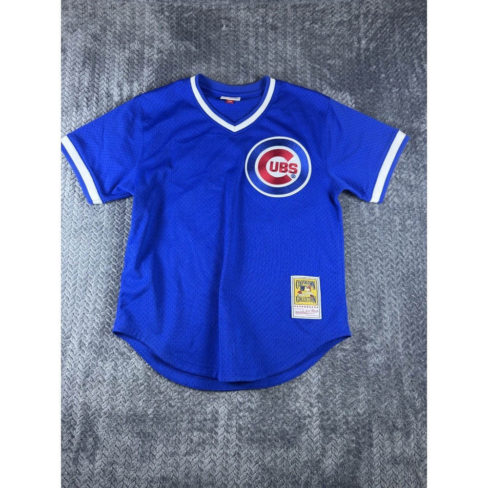 Chicago Cubs #23 Ryne Sandberg Mitchell & Ness 1984 Jersey 40 Mens Blue V Neck